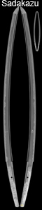 sadakazu
